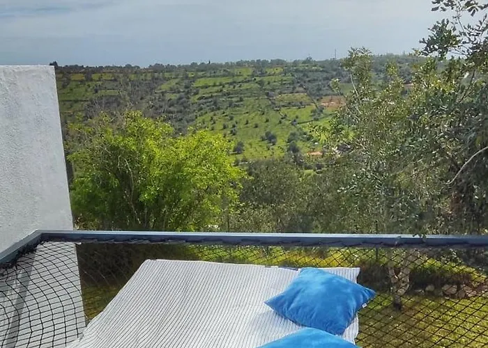 The View House